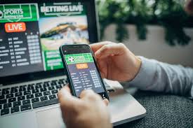 Trusted casino sites without verification 2025 11 Trusted casino sites without verification 2025 11